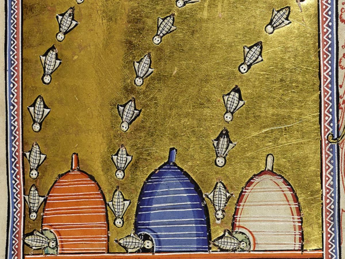 The Sexless on Earth: The Medieval Bestiaries and the Beings that Exude Asexual, Non-Binary and Unsexed Physical&nbsp;Forms